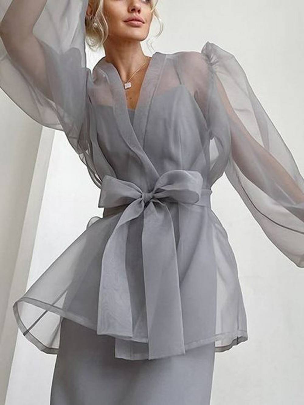 Sheer V Neck Puff Sleeve Bow Blouse