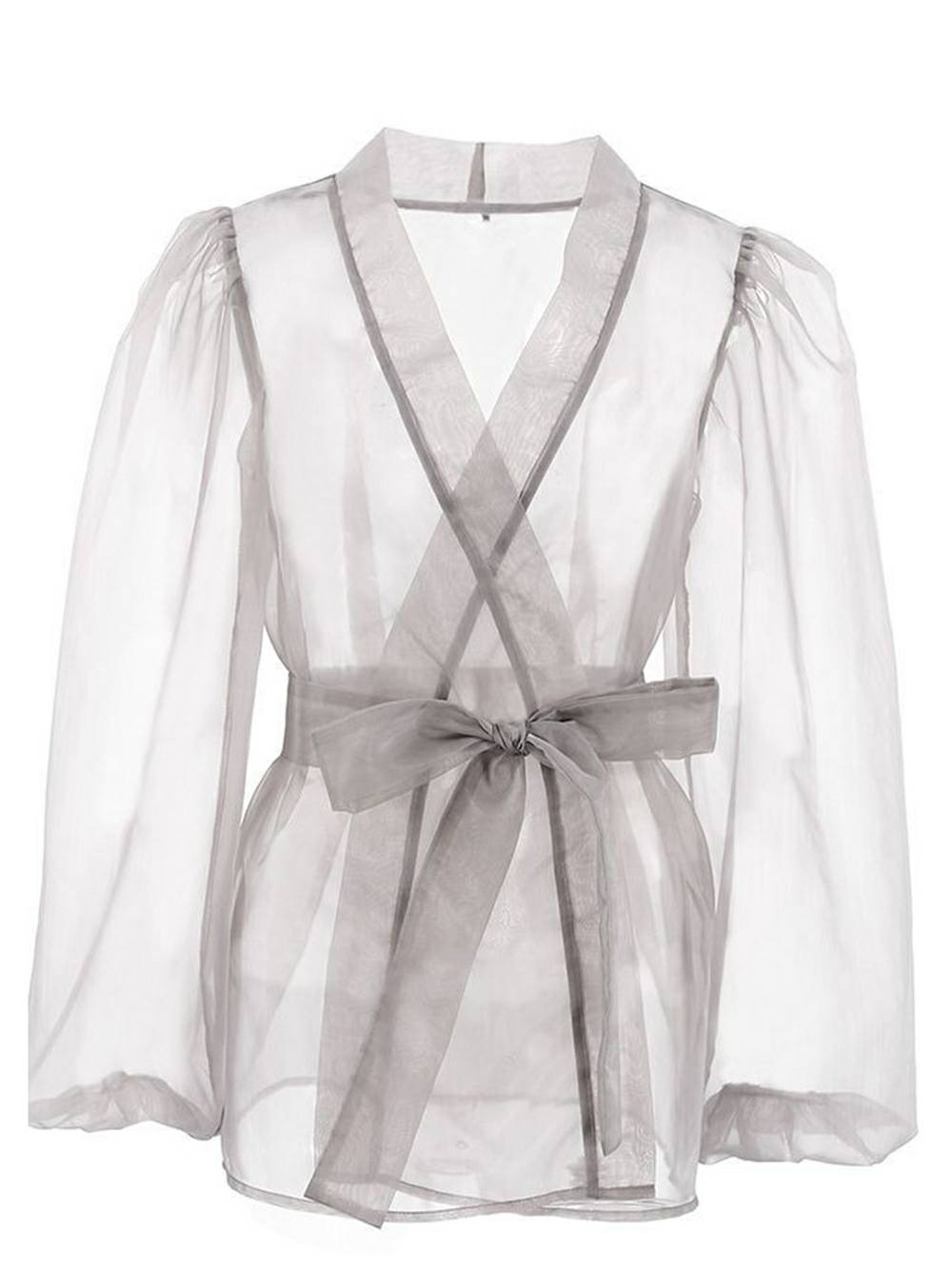 Sheer V Neck Puff Sleeve Bow Blouse