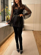 Sheer V Neck Puff Sleeve Bow Blouse