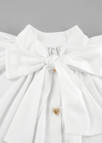 Elegant Tie Neck Blouse Dress