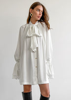 Elegant Tie Neck Blouse Dress